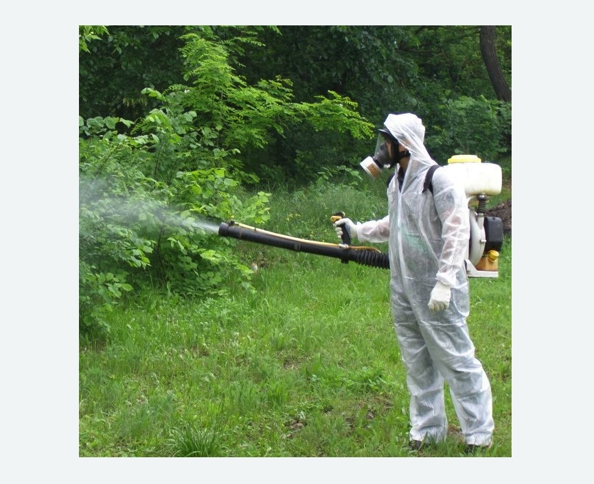 обработка территории от клещей в Новокуйбышевске