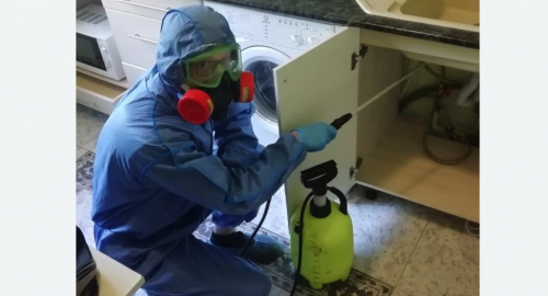 Уничтожение муравьев в квартире. Новокуйбышевск