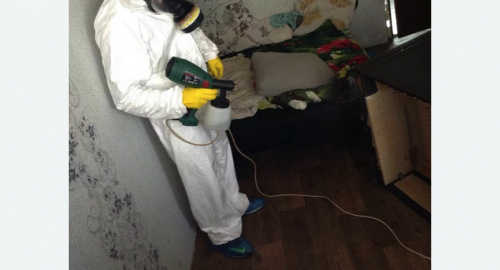 Обработка квартир от насекомых в Новокуйбышевске