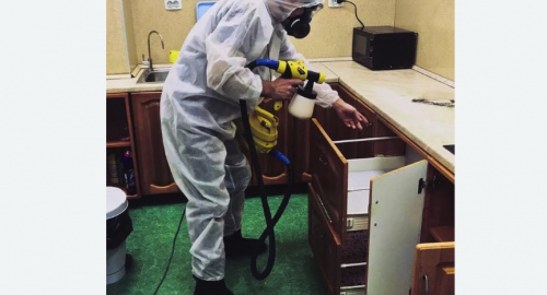 Дезинсекция квартиры. Новокуйбышевск