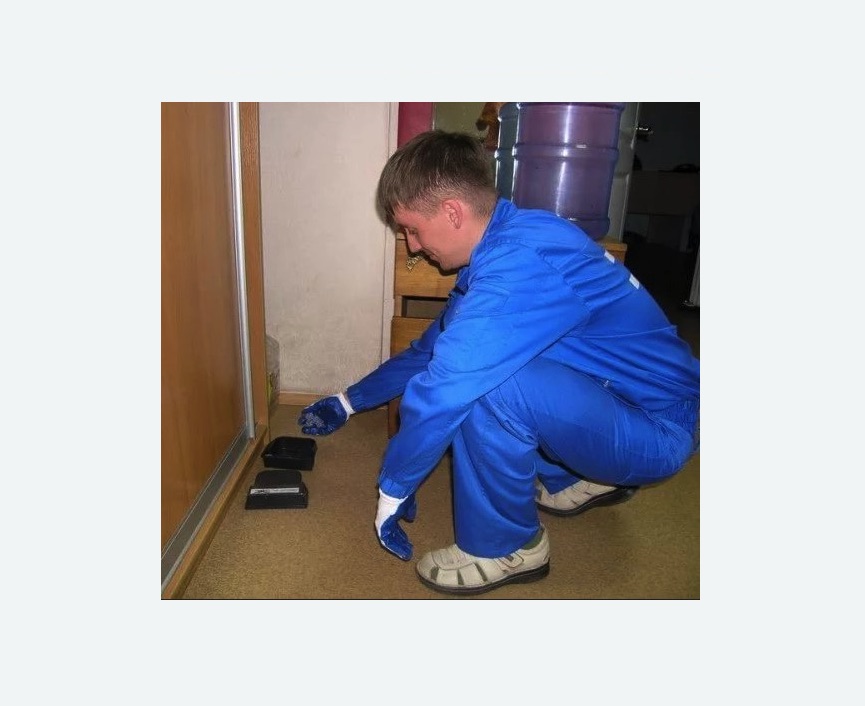 Дератизация крыс в Новокуйбышевске