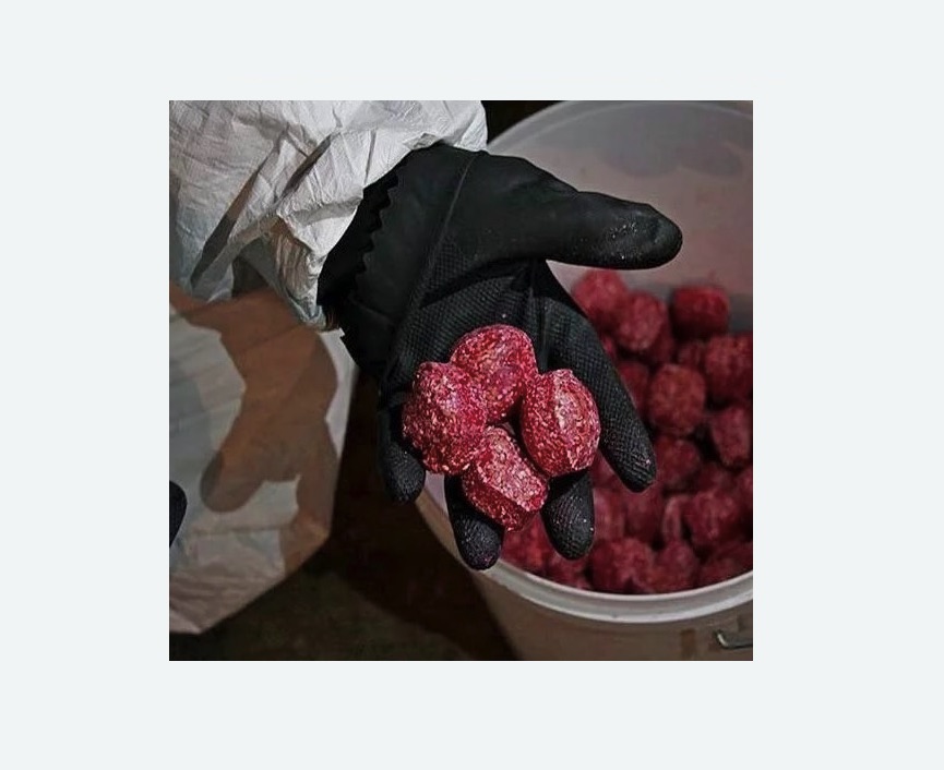 Обработка от крыс в Новокуйбышевске