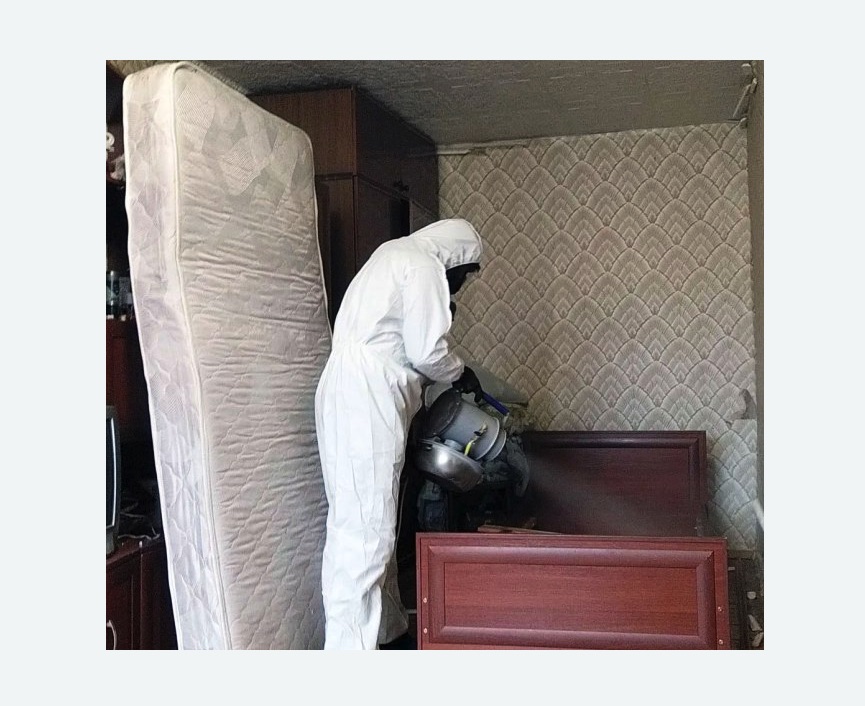 дезинфекция от клопов в Новокуйбышевске