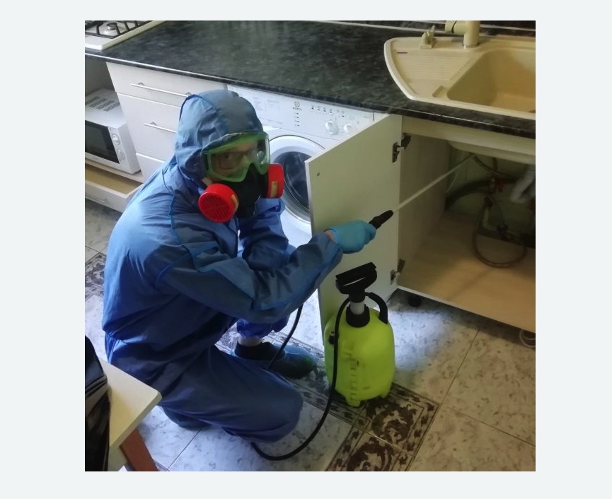 обработка от муравьев в квартире в Новокуйбышевске