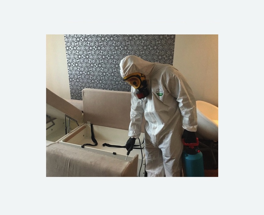 уничтожение клопов в квартире в Новокуйбышевске