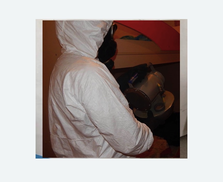 Дезинфекция от муравьев в Новокуйбышевске